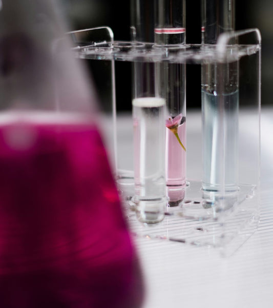 Water sample being poured for professional testing.