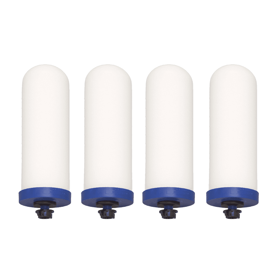 9 inch ProOne G2.0 filter in 4-pack